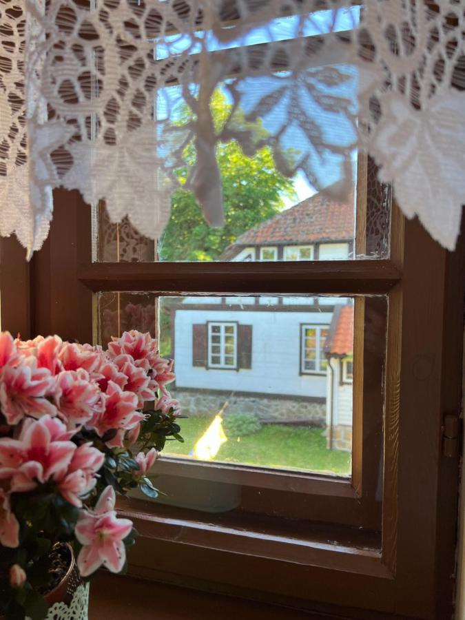 Apartament W Xix-Wiecznym Spichlerzu Nad Jeziorem Z Dostepem Do Parku I Widokiem Na Dworek Modrzewiowy Z 1823 Roku Szteklin Экстерьер фото