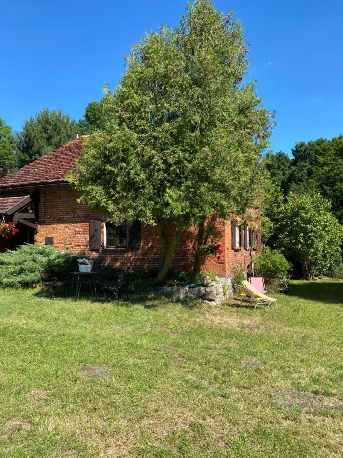 Apartament W Xix-Wiecznym Spichlerzu Nad Jeziorem Z Dostepem Do Parku I Widokiem Na Dworek Modrzewiowy Z 1823 Roku Szteklin Экстерьер фото